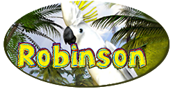 Robinson Robinson